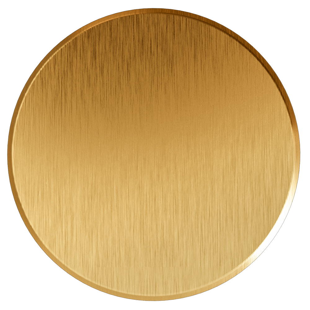 Brushed Gold PVD swatch