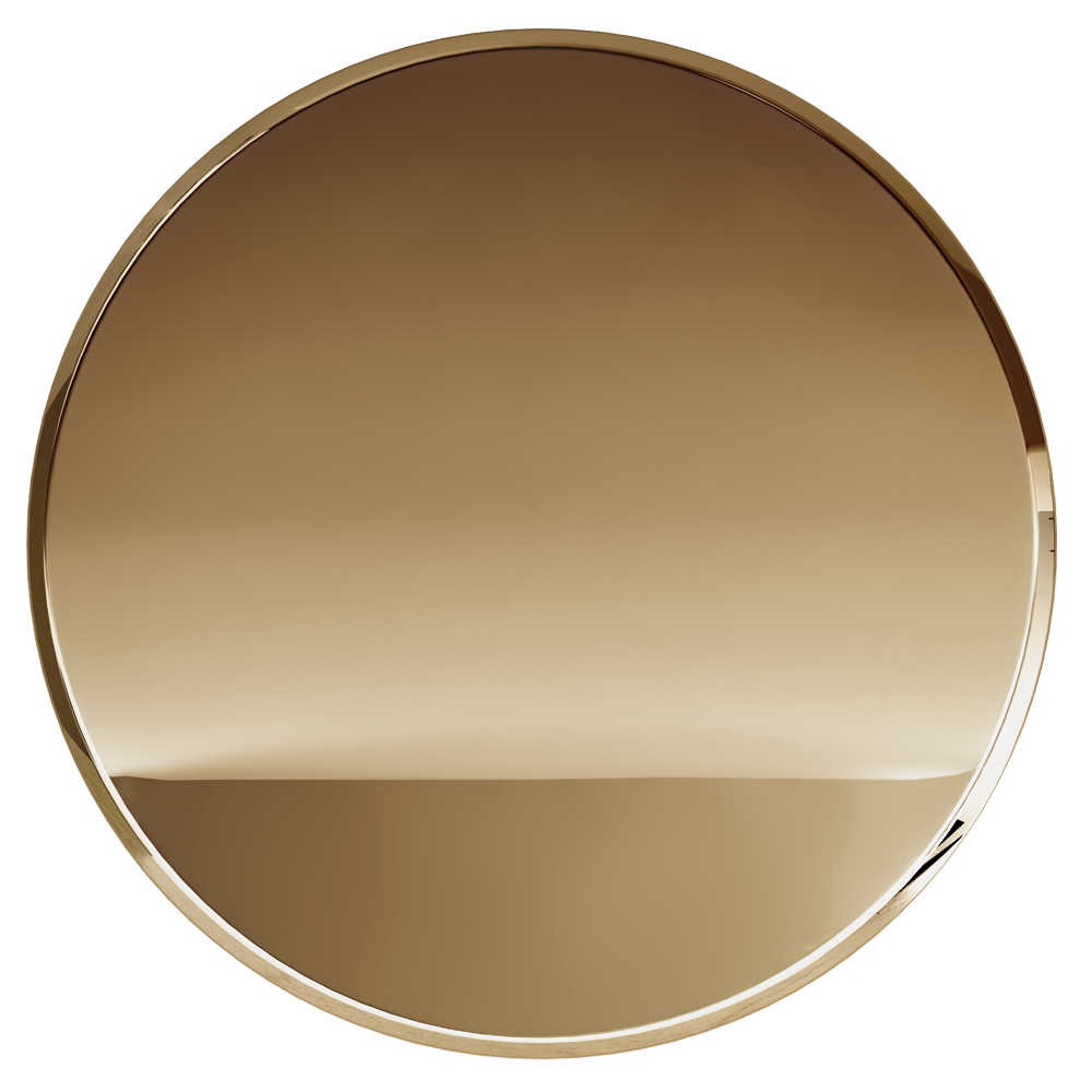 Polished Brass PVD swatch